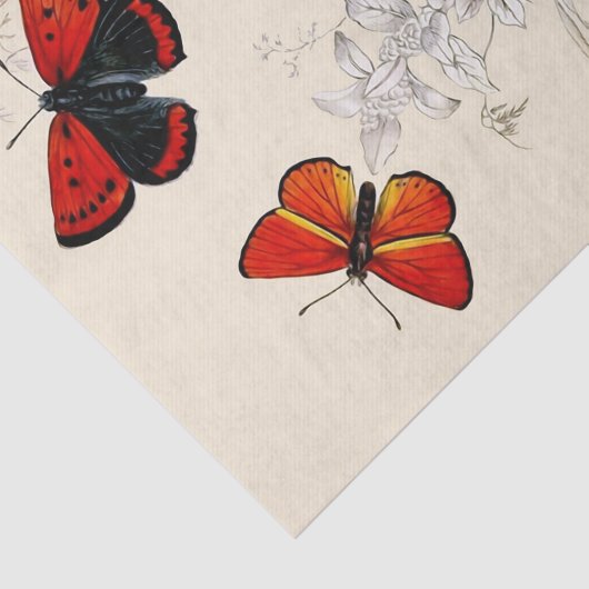 Butterfly Garden 10 x 15-inch tissuepapier (Detail)