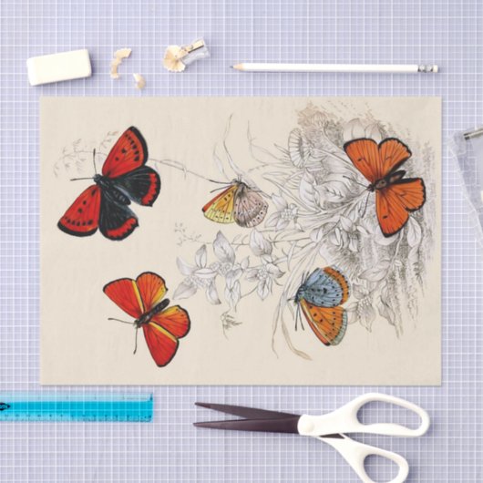 Butterfly Garden 10 x 15-inch tissuepapier (Craft)