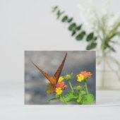 Butterfly Garden Briefkaart (Staand voorkant)