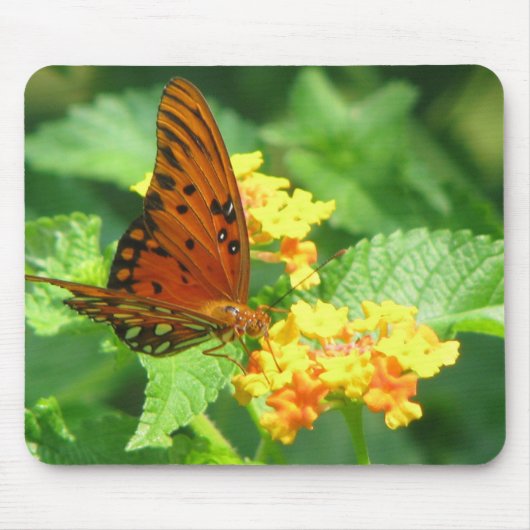 Butterfly Garden Muismat (Voorkant)