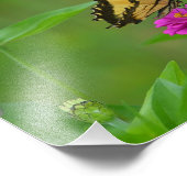 Butterfly Garden Photo Print Foto Afdruk (Hoek)