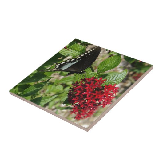 Butterfly Garden Tegeltje (Zijkant)
