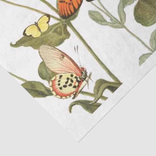  Butterfly Garden Tissue Tissuepapier (Detail)