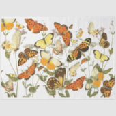 Butterfly Garden Tissue Tissuepapier (Voorkant)