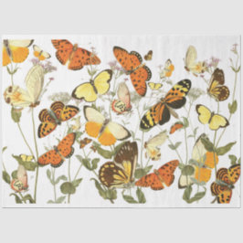 Butterfly Garden Tissue Tissuepapier
