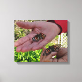 Butterfly Garden Wrapped Canvas (Voorkant)