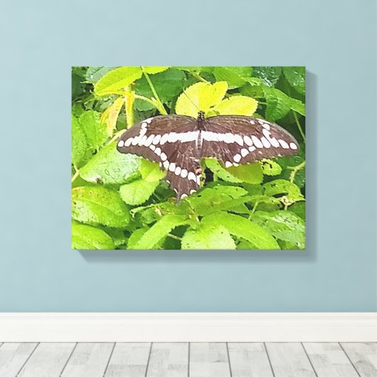 Butterfly Garden Wrapped Canvas (Insitu (Houten vloer))