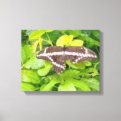 Butterfly Garden Wrapped Canvas (Voorkant)