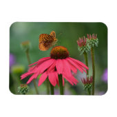 Butterfly Gathering Nectar Magneet (Horizontaal)