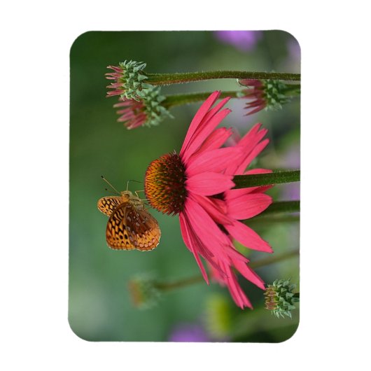 Butterfly Gathering Nectar Magneet (Verticaal)