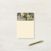 Butterfly Gepersonaliseerde 4x6 Post-it® Notes