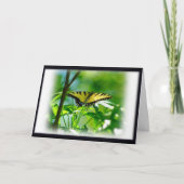 Butterfly Get Well Kaart (Voorkant)