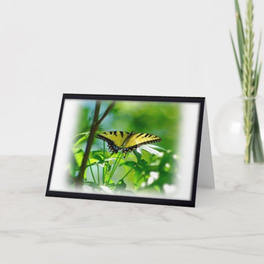 Butterfly Get Well Kaart (Voorkant)