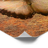 Butterfly God opent deuren Poster Wall Art (Hoek)