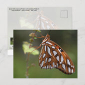 Butterfly Gulf Fritillary Passion Oranje gepolijst Briefkaart (Voorkant / Achterkant)