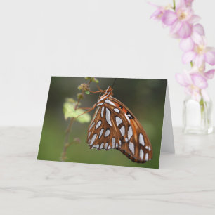 Butterfly Gulf Fritillary Passion Oranje gepolijst Kaart