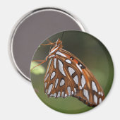 Butterfly Gulf Fritillary Passion Oranje gepolijst Magneet (Voorkant / Achterkant)