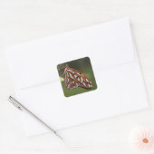 Butterfly Gulf Fritillary Passion Oranje gepolijst Vierkante Sticker (Envelop)