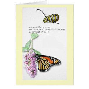 Butterfly Haiku