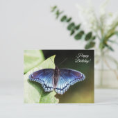 Butterfly Happy Birthday Briefkaart (Staand voorkant)