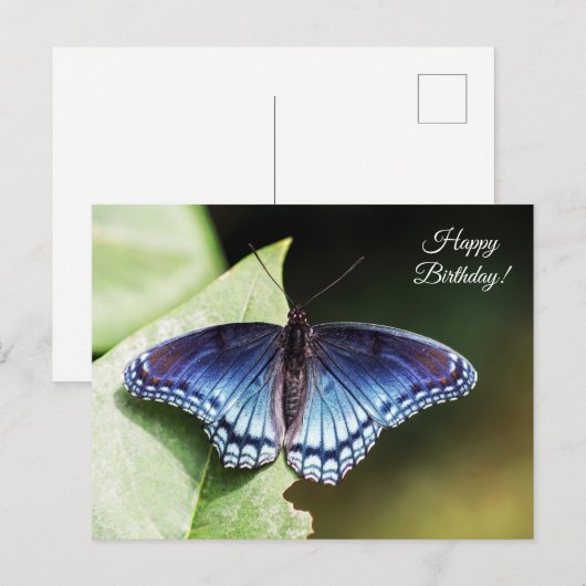 Butterfly Happy Birthday Briefkaart (Voorkant / Achterkant)
