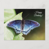 Butterfly Happy Birthday Briefkaart (Voorkant)