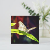 Butterfly - Hartelijk dank (Staand voorkant)