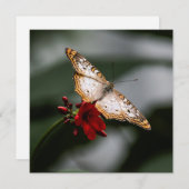 Butterfly Hartelijk dank Bedankkaart (Voorkant / Achterkant)