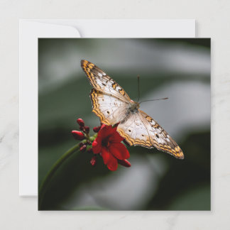 Butterfly Hartelijk dank Bedankkaart