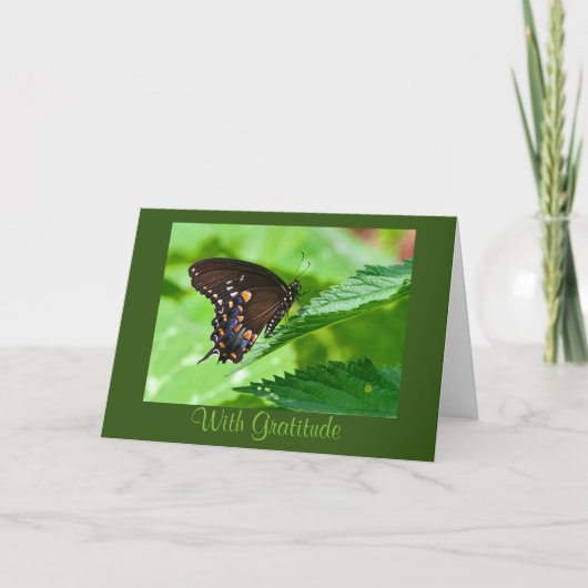 Butterfly - Hartelijk dank Bedankkaart (Voorkant)