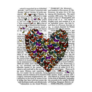 Butterfly Heart Magneet