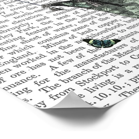 Butterfly House Poster (Hoek)