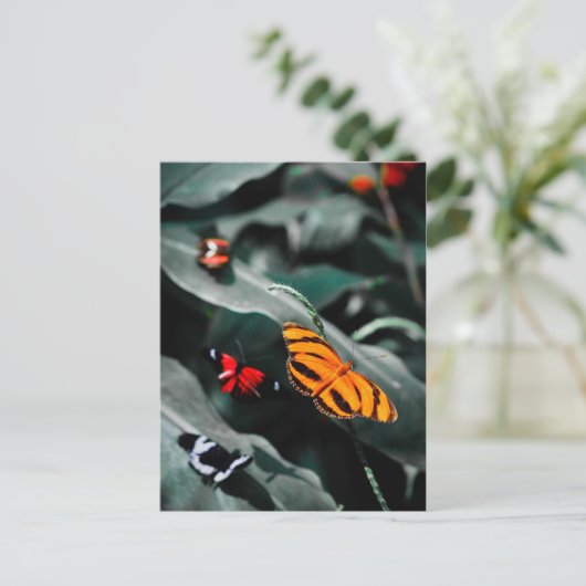 Butterfly II Briefkaart (Staand voorkant)