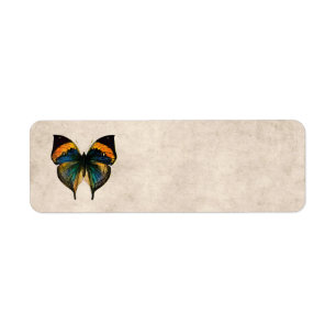  Butterfly Illustratie 1800-vlinders Etiket