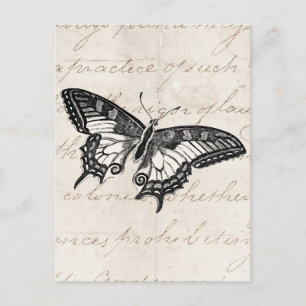 Butterfly Illustration 1800's Butterflies Briefkaart