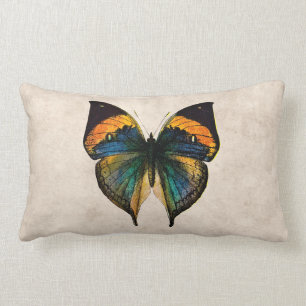 Butterfly Illustration 1800's Butterflies Kussen