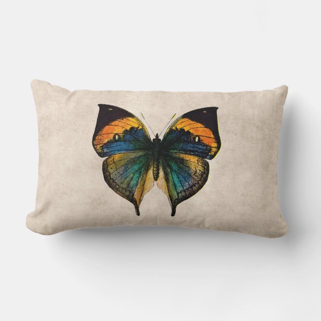  Butterfly Illustration 1800's Butterflies Kussen (Voorkant)