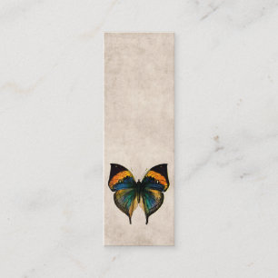  Butterfly Illustration 1800's Butterflies Mini Visitekaartje