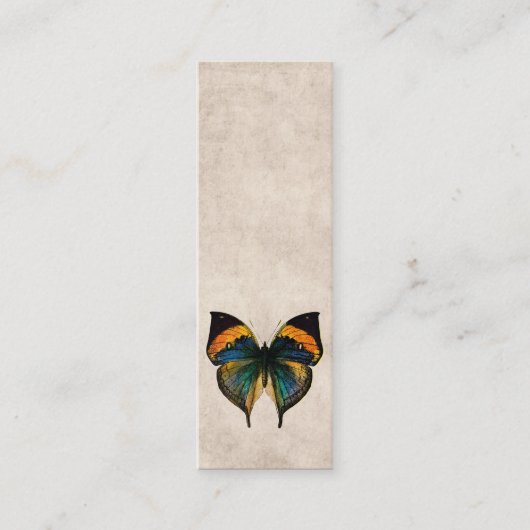  Butterfly Illustration 1800's Butterflies Mini Visitekaartje (Voorkant)