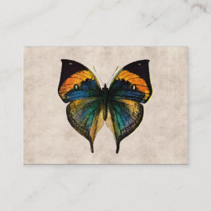  Butterfly Illustration 1800's Butterflies Visitekaartje