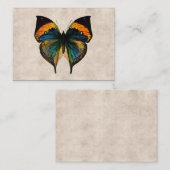 Butterfly Illustration 1800's Butterflies Visitekaartje (Voorkant / Achterkant)