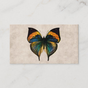 Butterfly Illustration 1800's Butterflies Visitekaartje