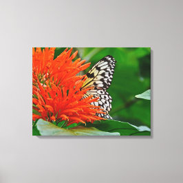 Butterfly in Bloom Canvas Afdruk