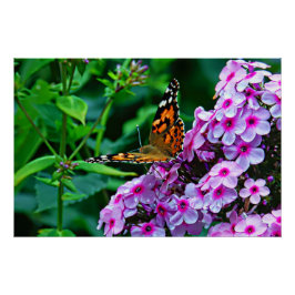 Butterfly in Bloom Perfect Poster