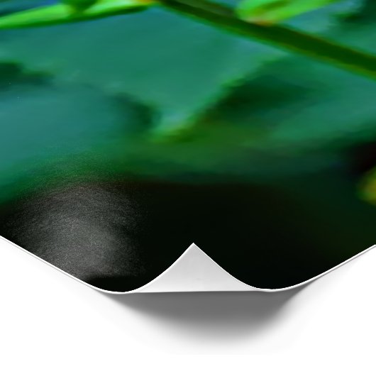 Butterfly in Bloom Perfect Poster (Hoek)