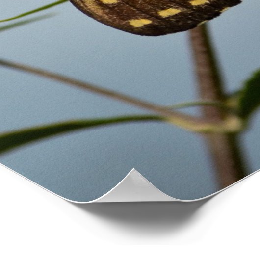 Butterfly in de lucht poster (Hoek)