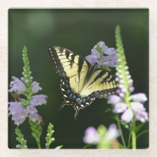 Butterfly in de tuin glazen onderzetter