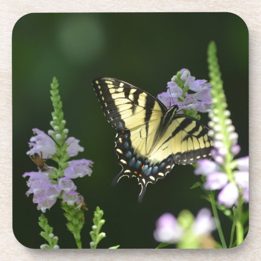 Butterfly in de tuin onderzetter (Voorkant)