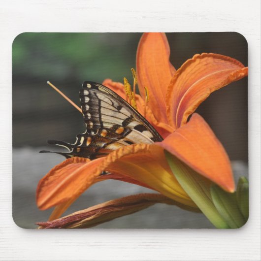 Butterfly in lily mousepad muismat (Voorkant)