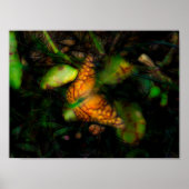 Butterfly in Radiance en Ggloed Edges Poster (Voorkant)